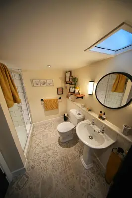 a bathroom with a toilet and a sink and a mirror at The Old Milking Parlour Flyingpiglets in Llandovery