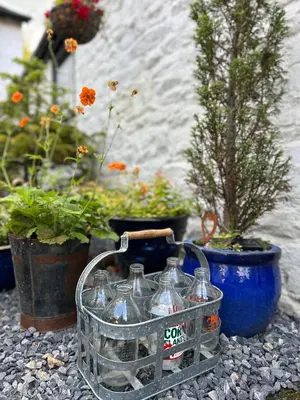 a metal basket sitting on the ground next to potted plants at The Old Milking Parlour Flyingpiglets in Llandovery
