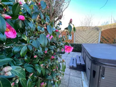 a bush with pink flowers next to a table at Escapism Wales Garthowen in Llanrhystyd