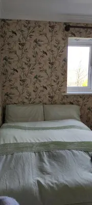a bedroom with a bed with a bird wallpaper at Toad Hall Hostel in Machynlleth