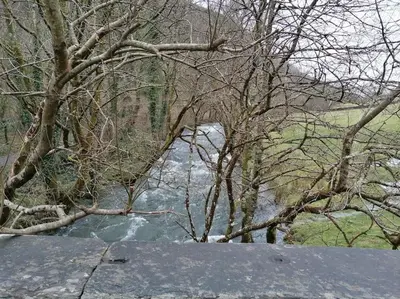 a view of a river with trees and a bridge at 1 Park Terrace in Corris