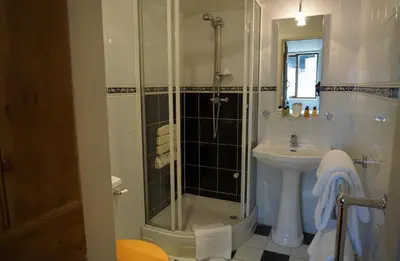 a bathroom with a shower and a sink at Sheep Dip Cottage - 5* Cyfie Farm, with log burner and private hot tub in Llanfyllin