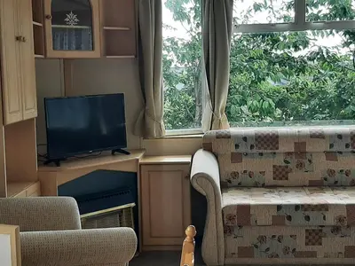 a living room with a couch and a television at Cadwgan Caravan in Dyffryn