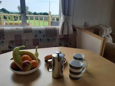a bowl of fruit sitting on a table with a cup at Cadwgan Caravan in Dyffryn