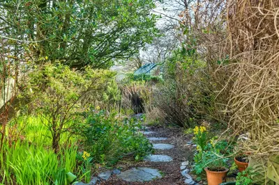 a path through a garden with plants and trees at Finest Retreats - Dolwar Cottage in Ffestiniog