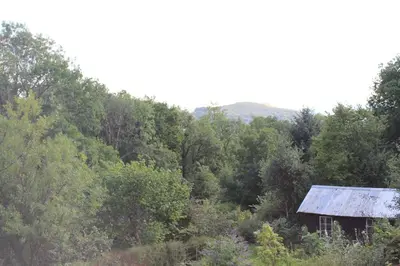 an old cabin in the middle of a forest at Rhandirmwyn - Cottage - Sleeps 4 - Pet Friendly in Llandovery