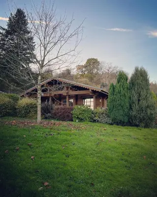 a wooden house in a field with a tree at Countryside Log Cabin With Hot Tub - Beech in Leominster
