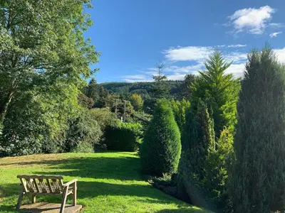 a wooden bench sitting in the grass in a garden at Countryside Log Cabin With Hot Tub - Beech in Leominster