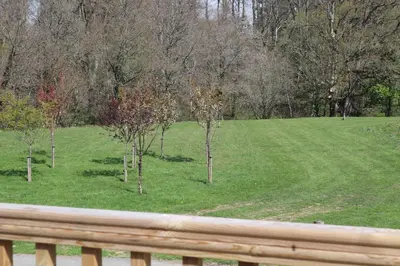 a view of a field with trees in the grass at HEDDFAN, Luxury 3 bedroom timber lodge, Now with WiFi, Caer Beris Holiday Park, Builth Wells, SORRY NO TRADESMEN OR CONTRACTORS ALLOWED in Builth Wells