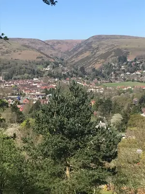 a tree in the foreground with a town in the background at Spacious first floor apartment in the centre of Church Stretton with free parking in Church Stretton
