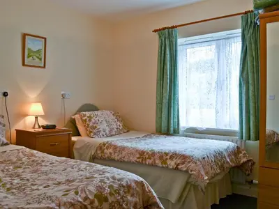 a bedroom with two beds and a window at Blackbird Cottage in Llanfair Caereinion