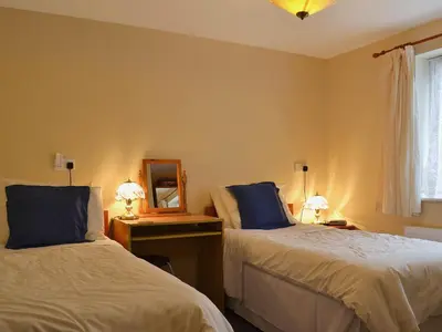 a bedroom with two beds and a mirror at Swallow Cottage in Llanfair Caereinion