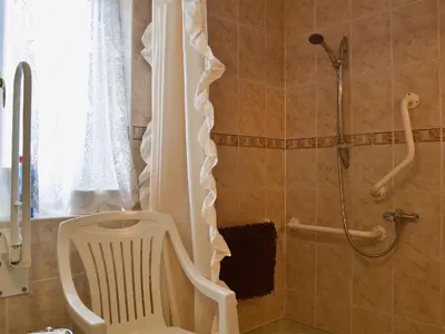a bathroom with a toilet and a shower at Swallow Cottage in Llanfair Caereinion