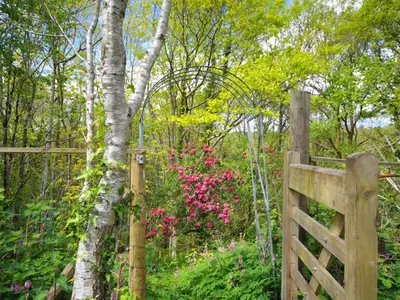 a wooden gate in a garden with pink flowers at Bryn Araul in Rhydymain