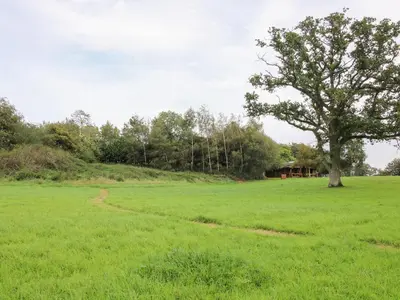 a field with a tree in the middle of it at Brynallt Country Park in Ellesmere