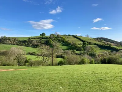 a green hillside with green grass and trees on it at The Snug at Coed Y Gaer in Oswestry