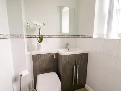 a bathroom with a toilet and a sink and a mirror at Ty Cerrig in Dyffryn