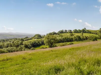 a green field with trees in the distance at Valley View - Uk34178 in Cilycwm