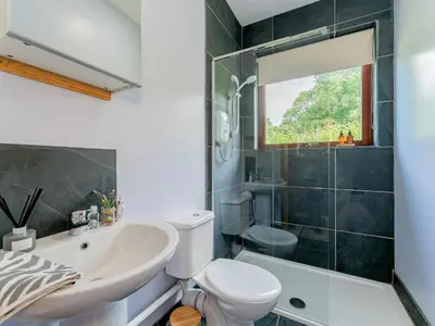 a bathroom with a sink and a toilet and a shower at Cwtch Enrico - Uk39064 in Scyborycoed