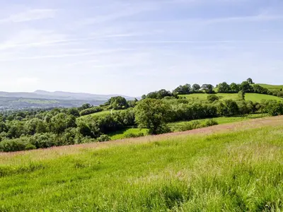 a green hillside with trees in a field at Mountain View - Uk34179 in Cilycwm