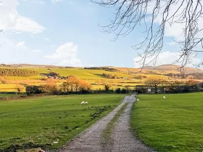 a dirt road in a field with sheep grazing at The Red House - Uk39234 in Minsterley