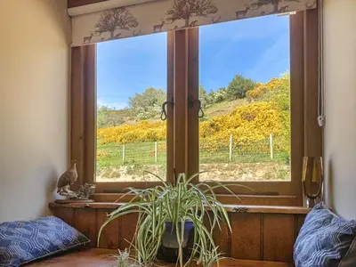 a window with a plant in a room with a view at The Red House - Uk39234 in Minsterley