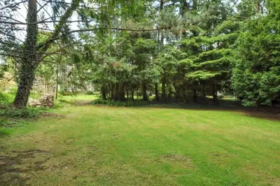 a field with trees and grass in a park at Cae Nest Hall in Llanbedr