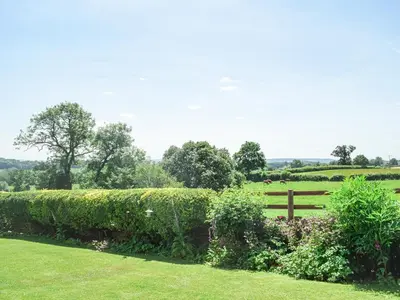 a hedge in a field next to a fence at Barnleigh in Ludlow