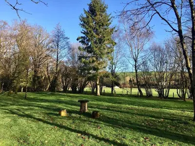 a park with a tree in the middle of a field at Daffodil House , West Wales in Llandovery
