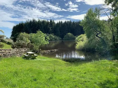 a picnic table sitting in the grass near a lake at The Granary at Pentregaer Ucha, tennis court & lake. in Oswestry