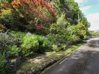 a road with a bunch of plants on the side at Bodowen Coach House in Barmouth