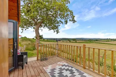 a deck with a tree and a view of a field at Blaenplwyf Shire Pods in Lampeter