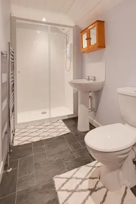 a bathroom with a toilet and a sink and a shower at 2 Bed in Tregaron oc-bow289 in Tregaron