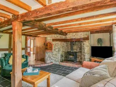 a living room with a fireplace and a tv at 46-47 Lydbury North in North Lydbury