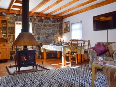 a living room with a wood stove in a room at Swn Y Nant in Pontrhydfendigaid