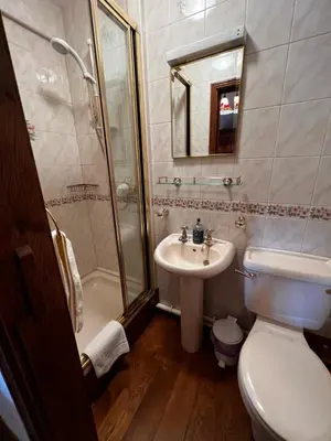 a bathroom with a toilet and a sink and a shower at Cwmgwn Farm in Llandovery