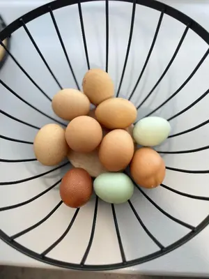 a bunch of eggs on a plate at A cottage for two in Brecon