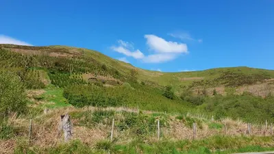 a green hill with a fence in front of it at Calon Y Goedwig Glamping in Llandovery