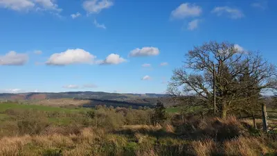 a tree on top of a hill with a fence at Calon Y Goedwig Glamping in Llandovery