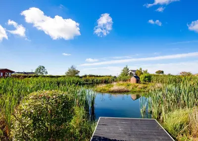 a small pond with a wooden dock in a field at Seven Springs in Llanon