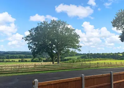 a tree on the side of a road with a fence at Heart Of Wales Lodges in Penybont