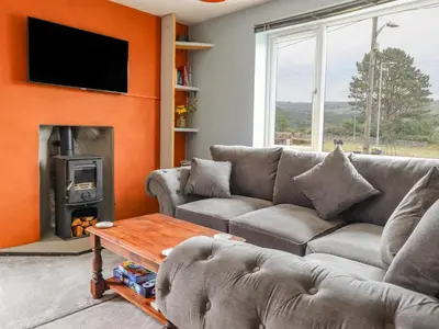 a living room with a couch and a fireplace at Bryn Hyfryd in Talsarnau
