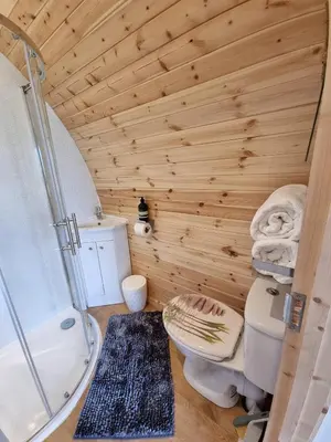 a wooden bathroom with a toilet and a shower at Forester's Retreat Glamping - Dinas View - Vaccinated dogs over the age of 2 are accepted in Aberystwyth