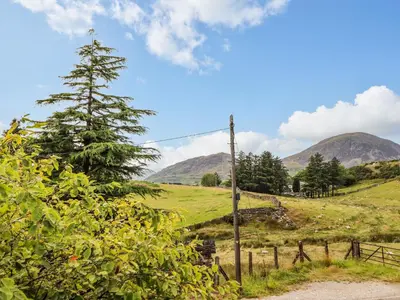 a tree on a hill with mountains in the background at Preswylfa in Blaenau-Ffestiniog