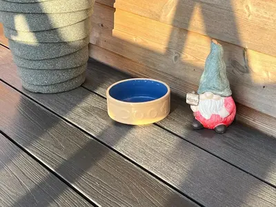 a toy gnome sitting next to a bowl of water at MAESLLAN CABINS 'Hud Y Machlud' in Cross Inn