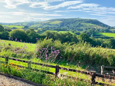 a hillside with a fence and a field of flowers at Dairy Cottage in Talley