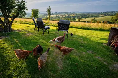 a group of chickens walking around in the grass at Hay Barn, Penrheol Farm, Unique Barn Conversion in Builth Wells