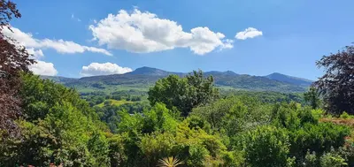a view of a forest with mountains in the background at Cader en suite at Pen Y Coed Hall exclusive Luxury Hot Tub in Dolgellau