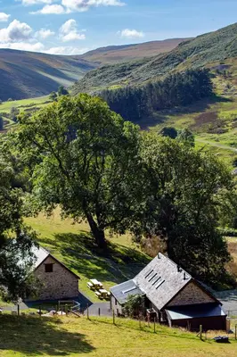 a farm with two barns in a field with a tree at Cwm Clyd Longhouse in Llanwrthwl