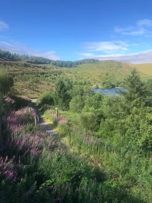 a path through a field with flowers and a lake at Cosy holiday caravan minutes from the beach in Aberystwyth